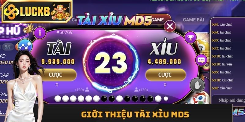 Giao diện website Tài Xỉu MD5 thân thiện với người dùng